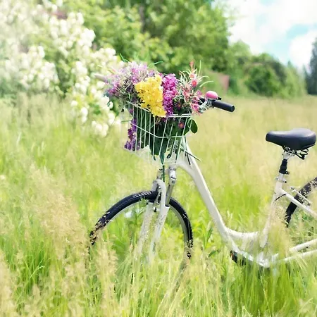 公寓 Comfortable, 2-person